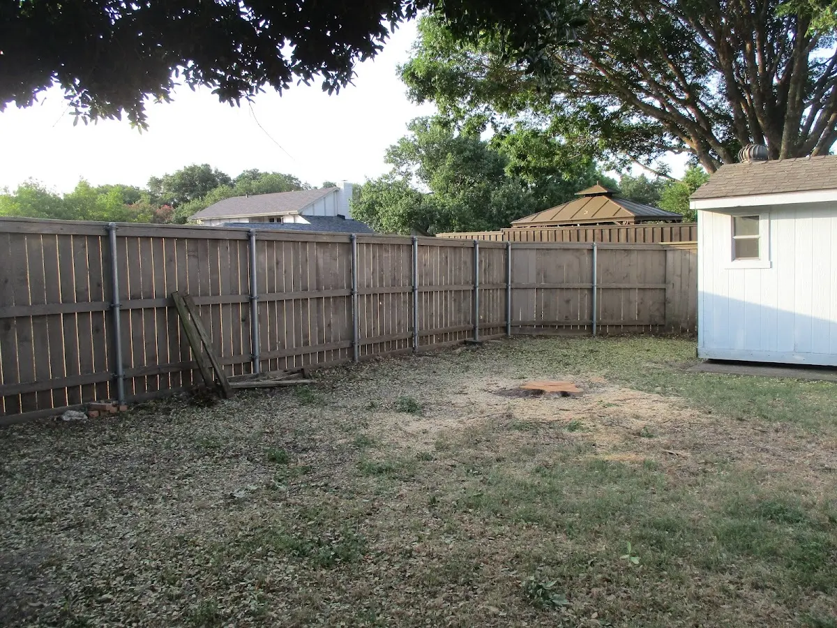 Cleared yard after professional tree removal in Iberia